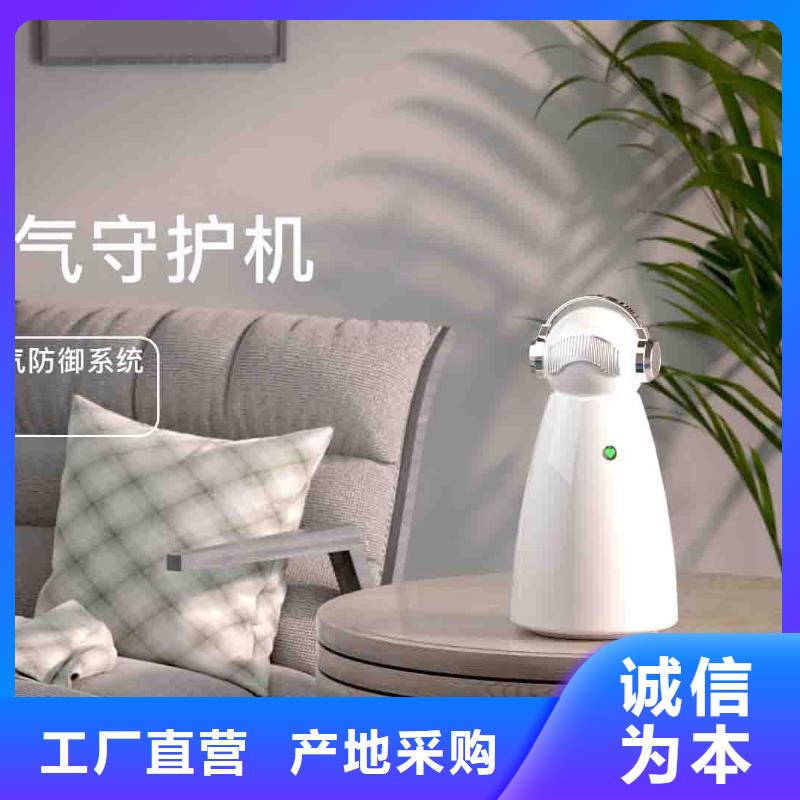小白婴儿空气守护机车载空气净化器供应优良工艺