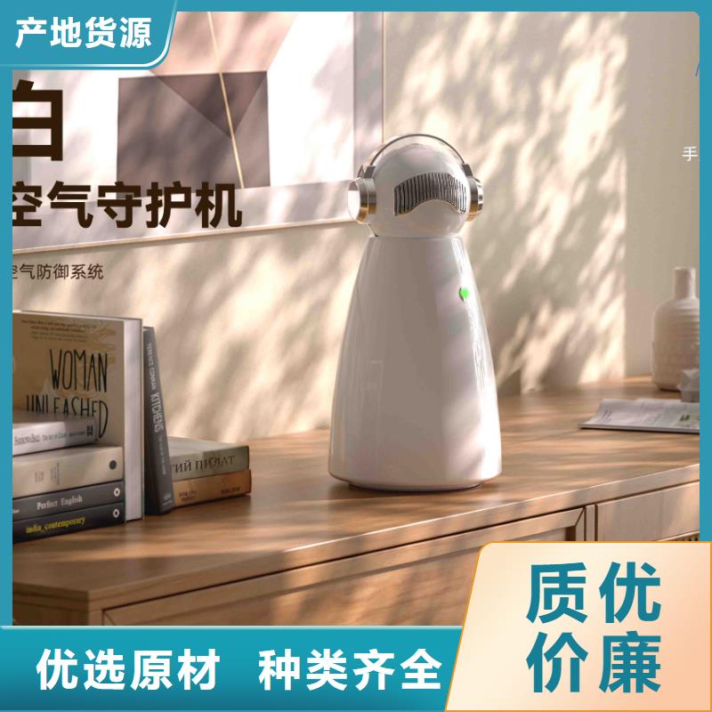 小白婴儿空气守护机车载空气净化器供应优良工艺