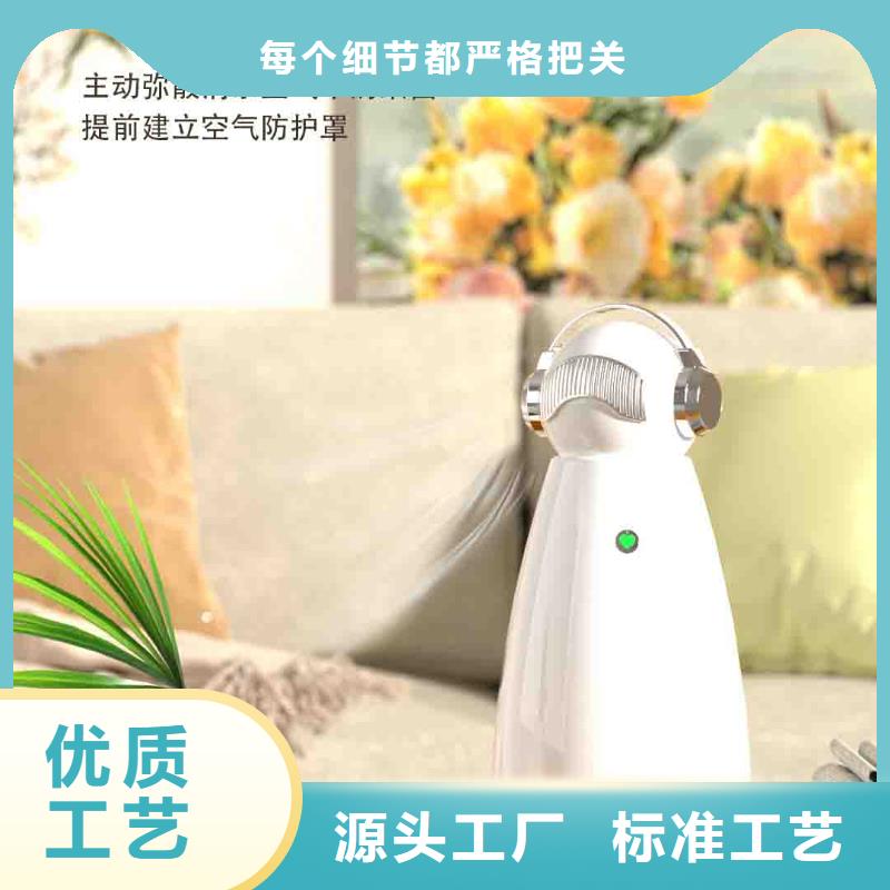小白婴儿空气守护机车载空气净化器供应优良工艺