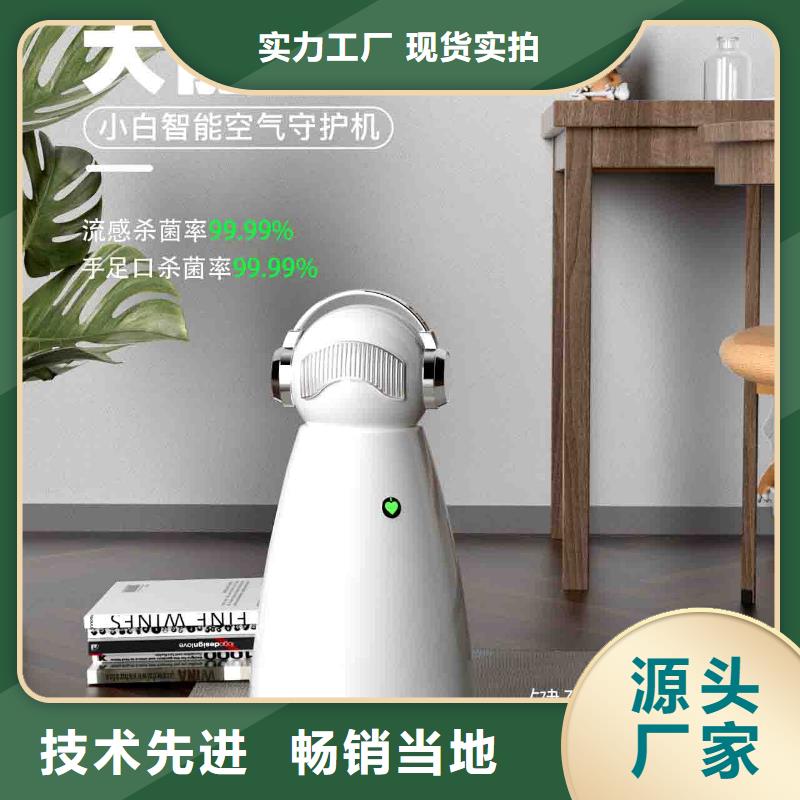 小白空气守护机小白祛味王放心得选择