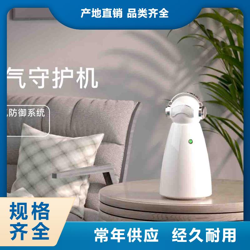 小白空气守护机智能空气净化器销售热线满足客户所需