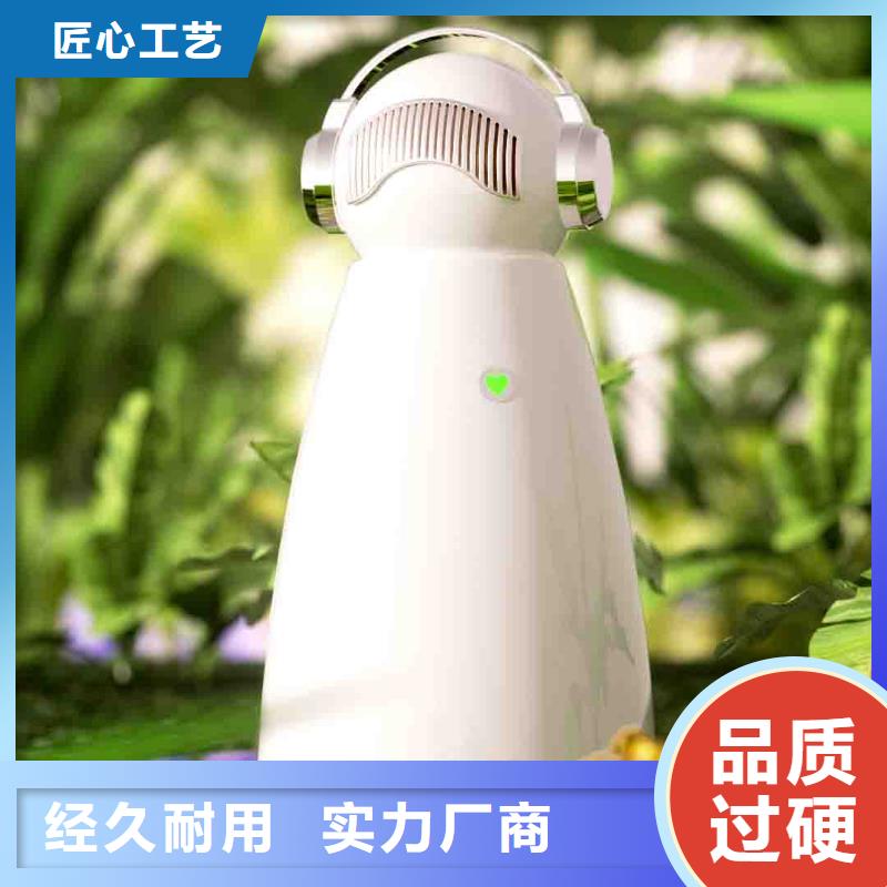 小白空气守护机_无臭养宠快捷物流