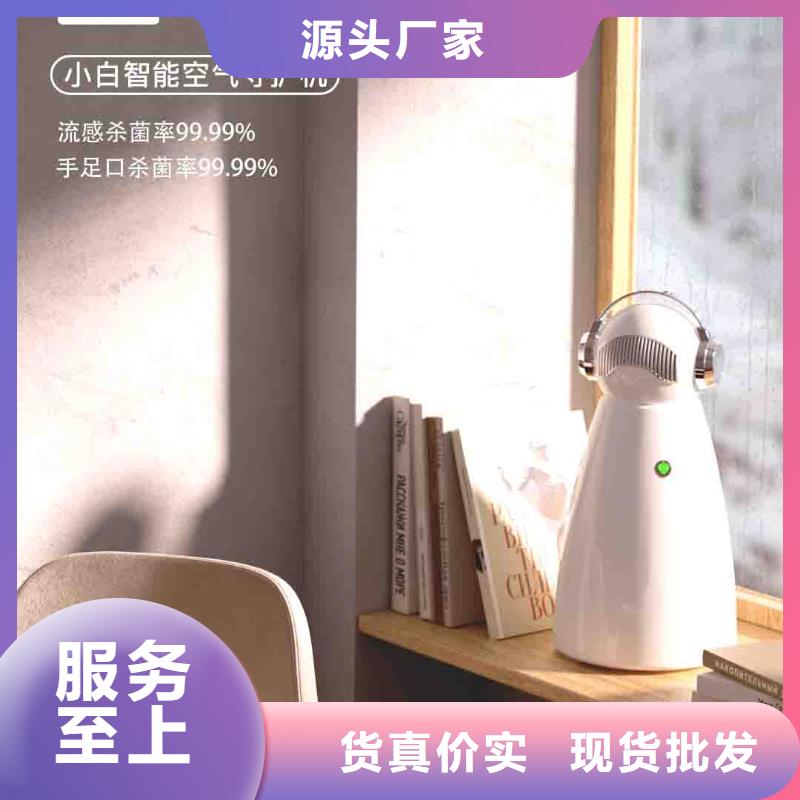 小白空气守护机价格-视频-四川省成都市|青白江|武侯|遂宁|甘孜|宜宾|凉山小白空气守护机价格-艾森