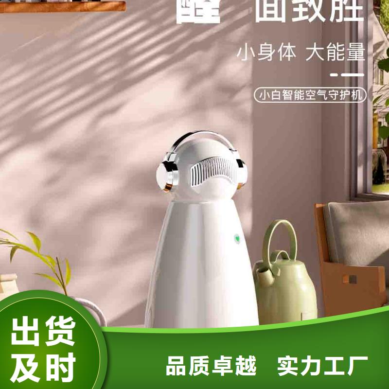 小白空气守护机价格-视频-小白空气守护机价格|宿州市|砀山|泗县|黄山|巢湖|六安|芜湖