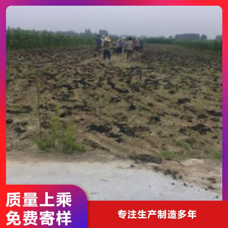 发酵鸡粪肥水肥田