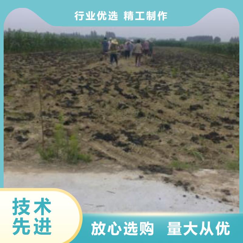 发酵鸡粪活化土壤