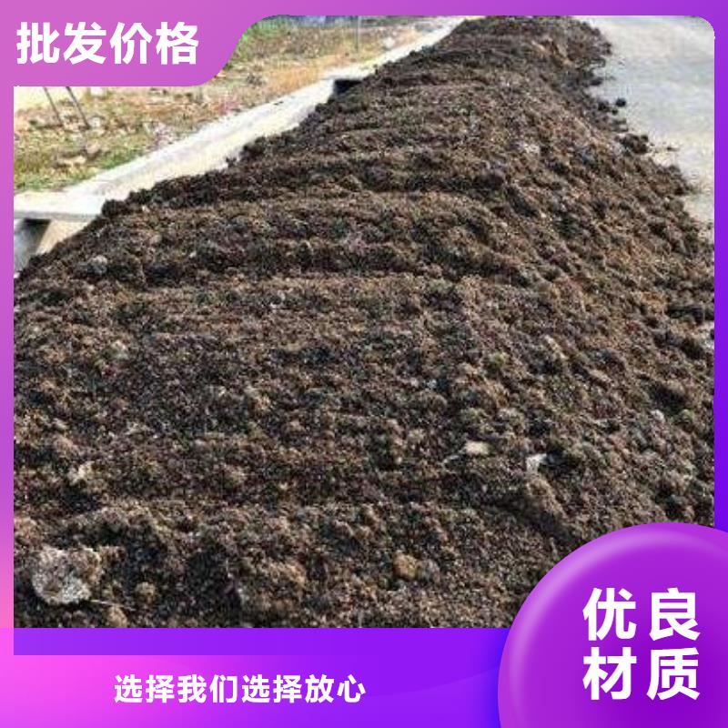 晒干鸡粪事实胜于雄辩