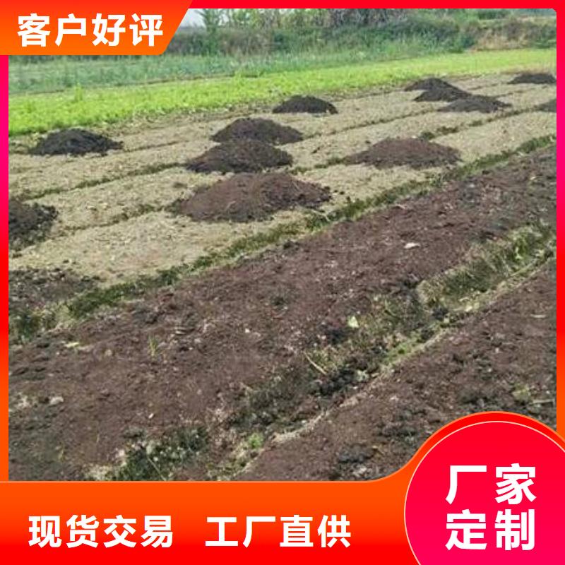 深圳市新桥街道发酵鸡粪生产基地