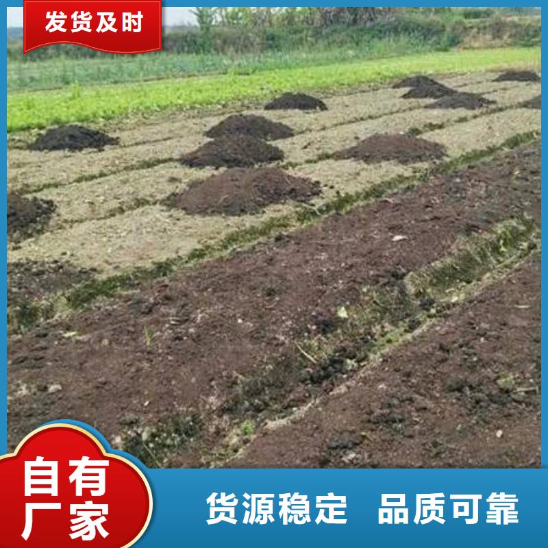 干鸡粪价格合适