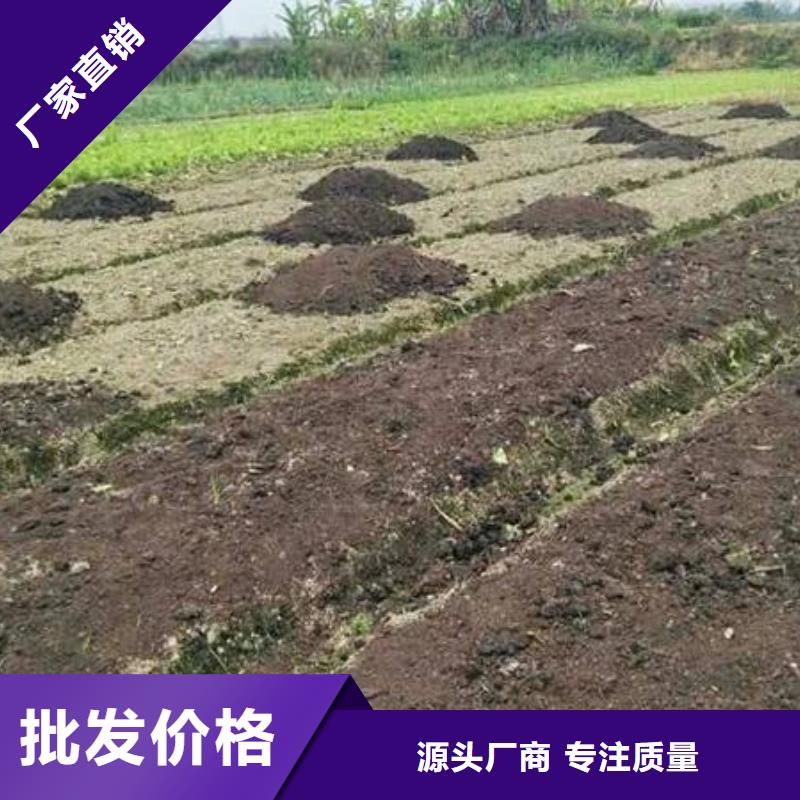 稻壳鸡粪抗病增产