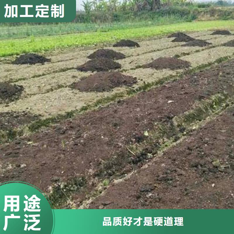 晒干鸡粪口碑