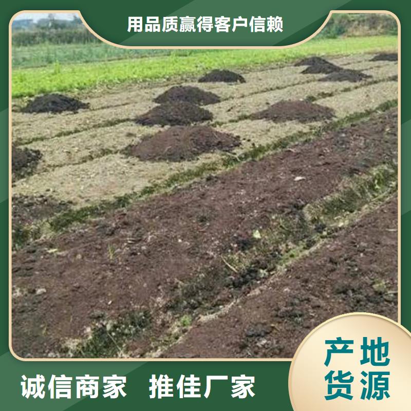 颗粒有机肥种类