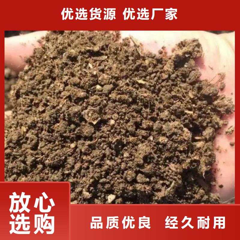 颗粒菌肥农民丰收的帮手