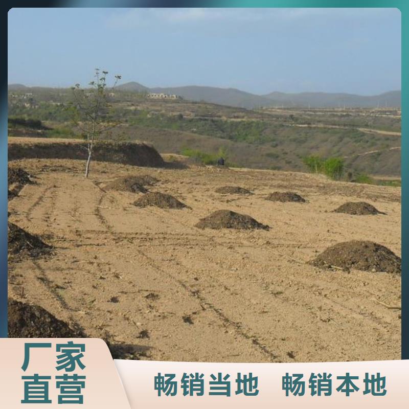 发酵鸡粪抗盐碱