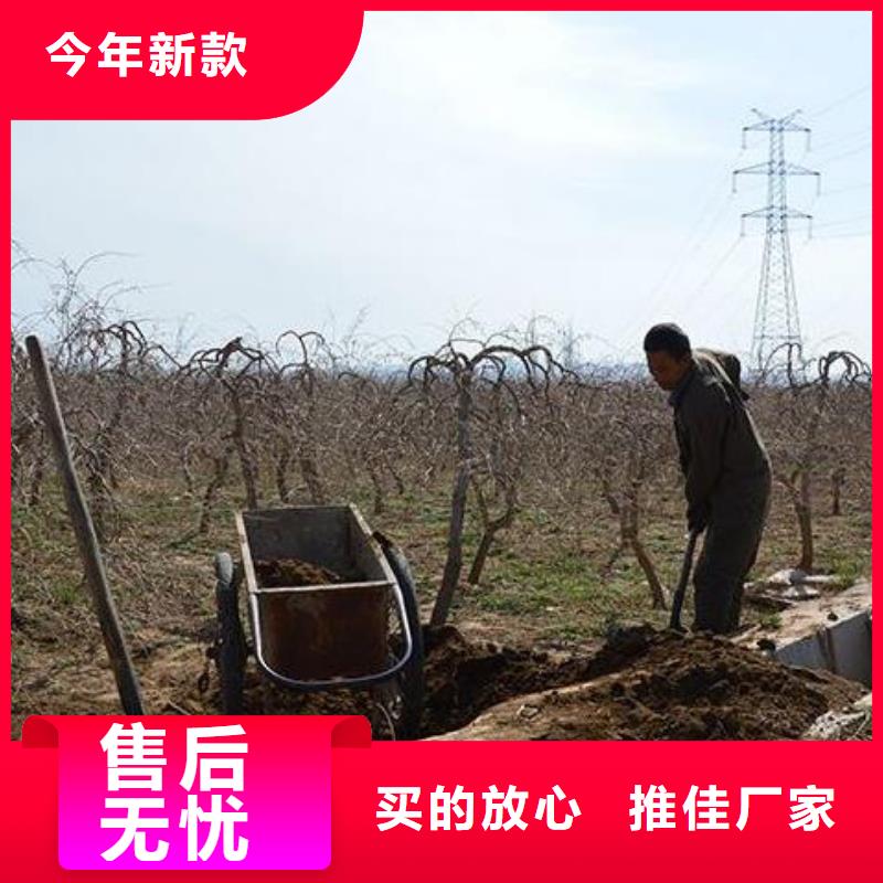 有机肥出厂价格是多少