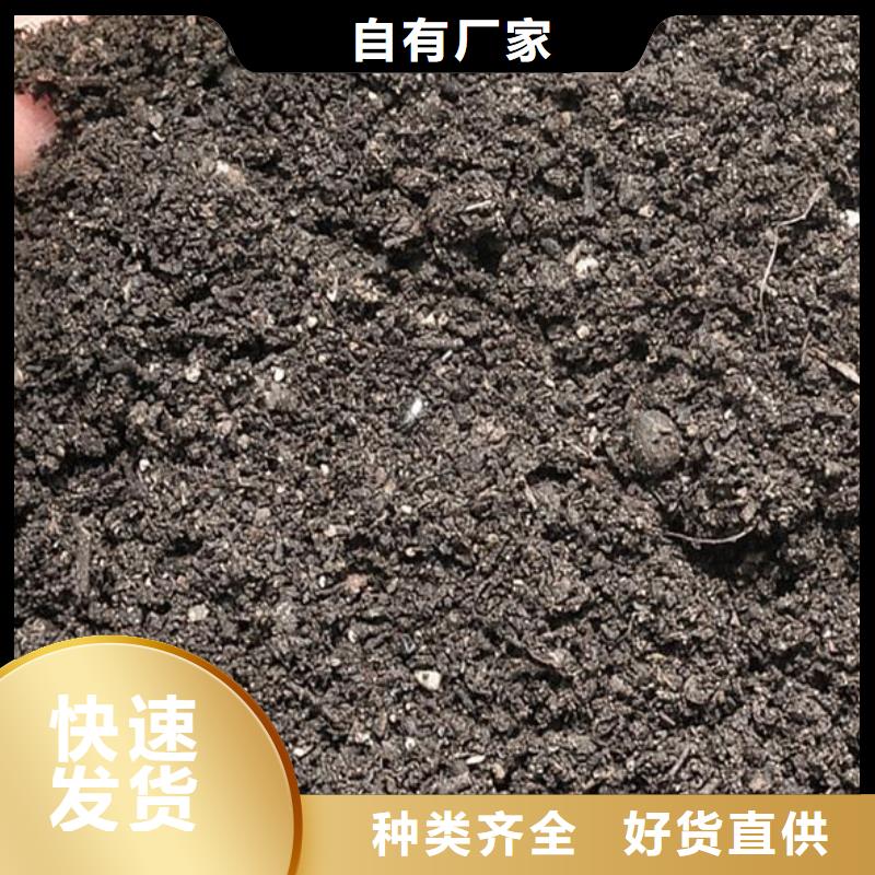 干鸡粪块改善土壤板结