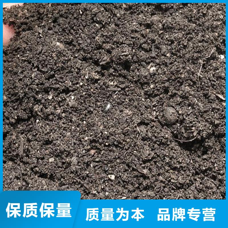 发酵鸡粪四季有货