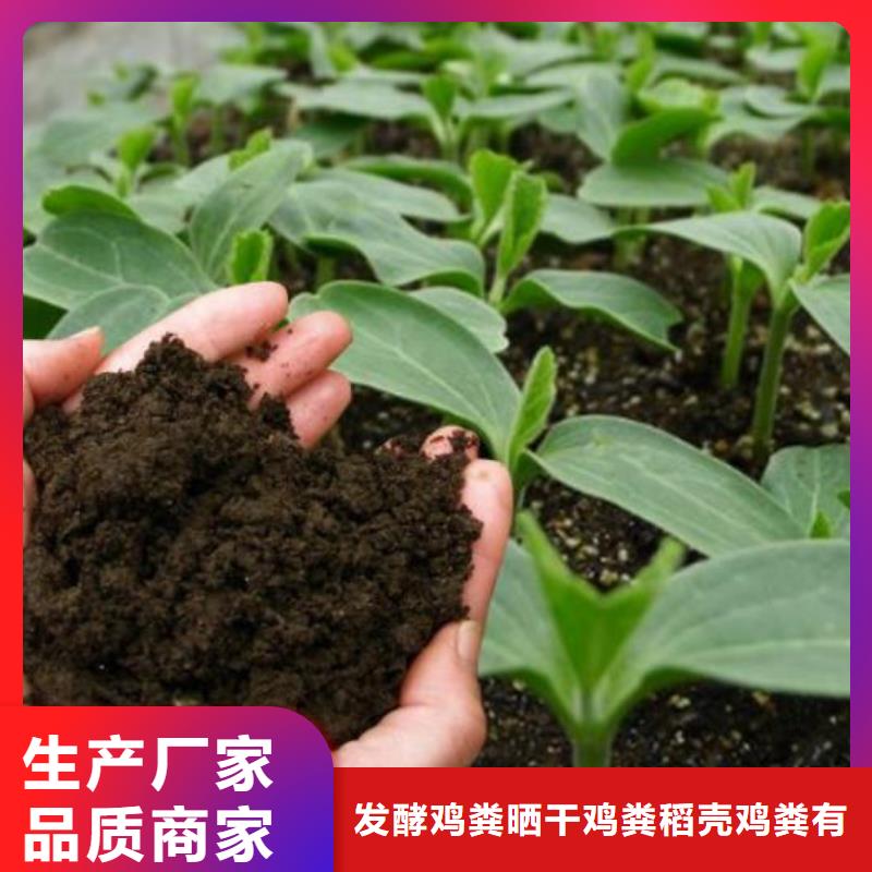 发酵鸡粪破除土壤板结