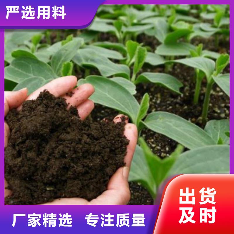 羊粪有机肥海量订单