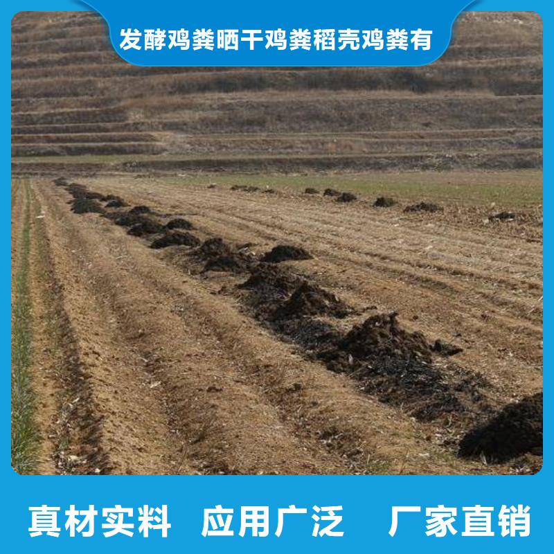 发酵羊粪乡村振兴
