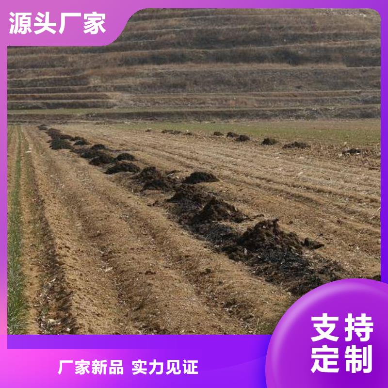 定安县晒干鸡粪咨询