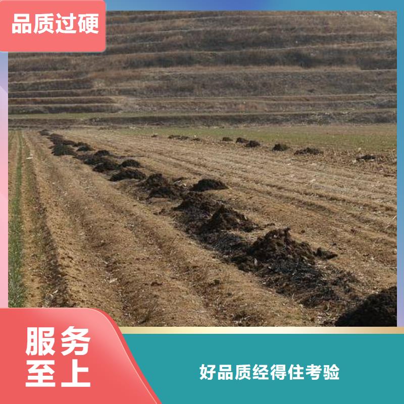 发酵鸡粪破除土壤板结