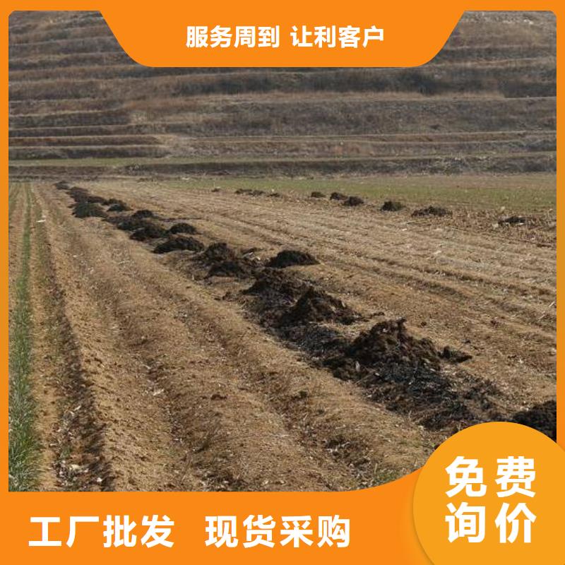 有机肥肥效持久