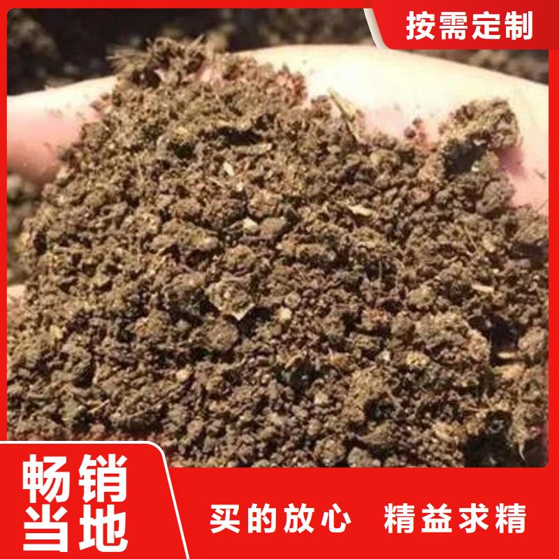 晒干鸡粪市场价格多少