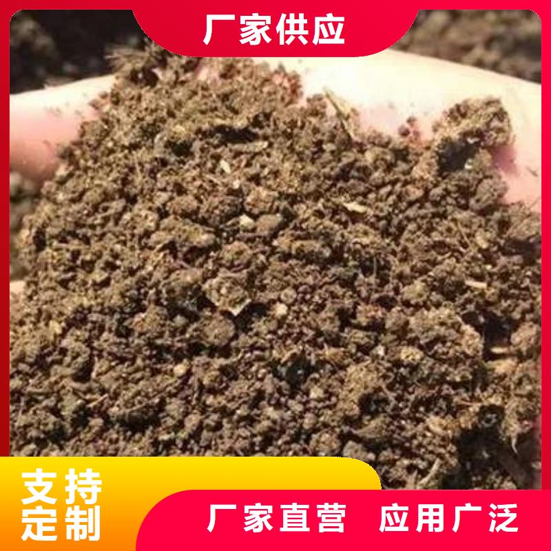 干鸡粪块真正农家肥