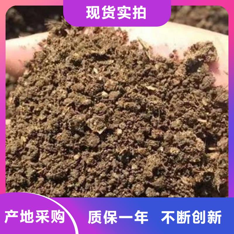 发酵鸡粪专家指导