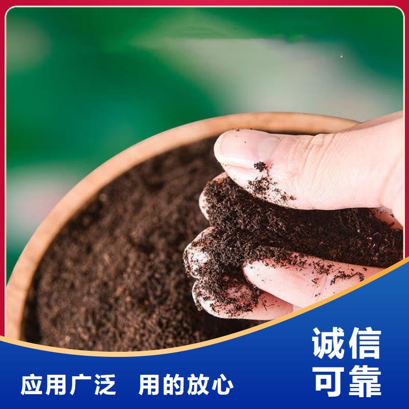 定安县晒干鸡粪咨询