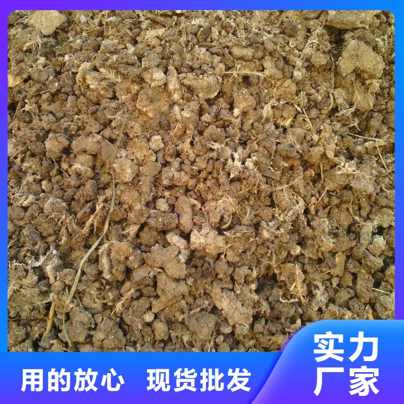 晒干鸡粪种植户的福音