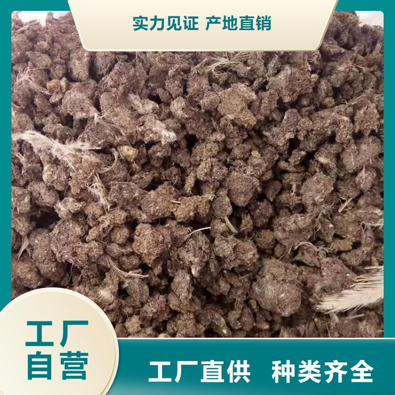干鸡粪供应