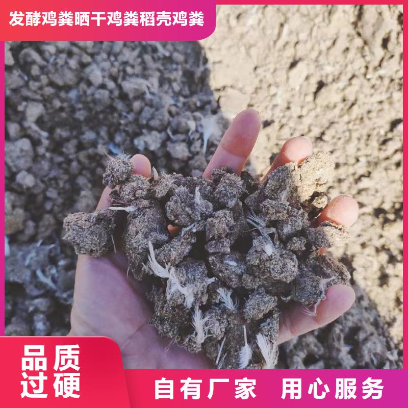 发酵鸡粪增加农田肥力