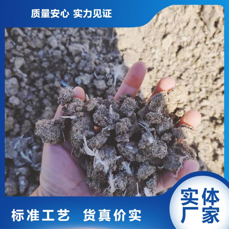干鸡粪图片
