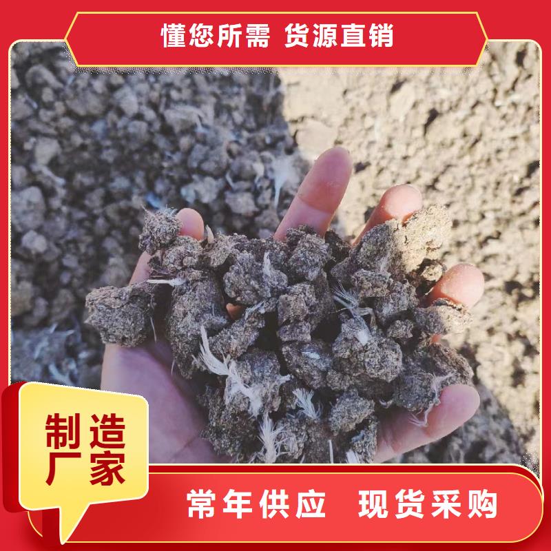 鸡粪生姜施肥