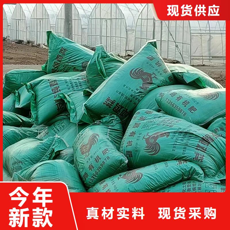 干鸡粪块行情