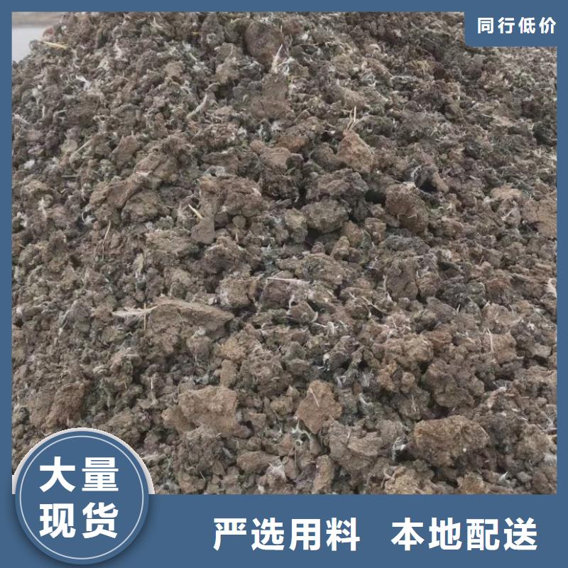 干鸡粪从哪里购进的