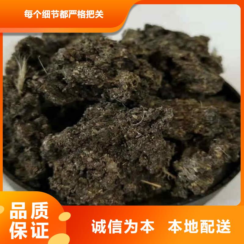 发酵羊粪谁知道哪里有