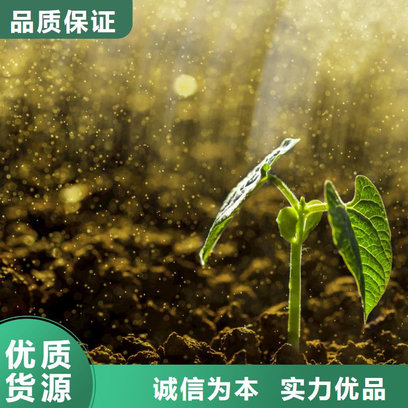 干鸡粪块土壤好帮手