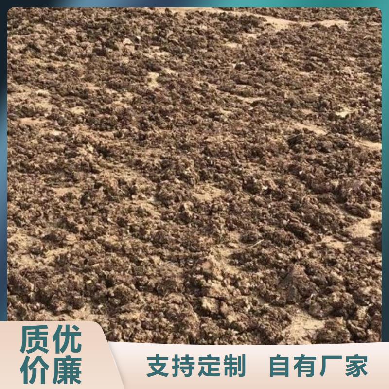 有机肥质量不错
