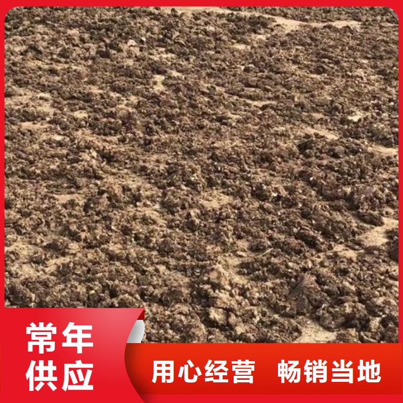 有机肥肥效不赖