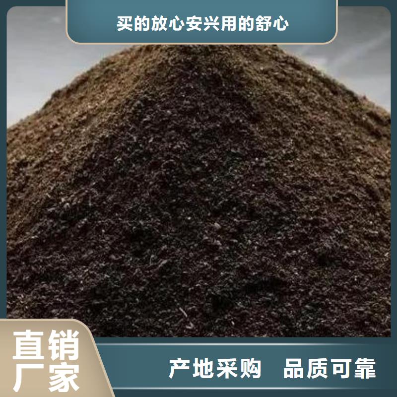 深圳市新桥街道发酵鸡粪生产基地