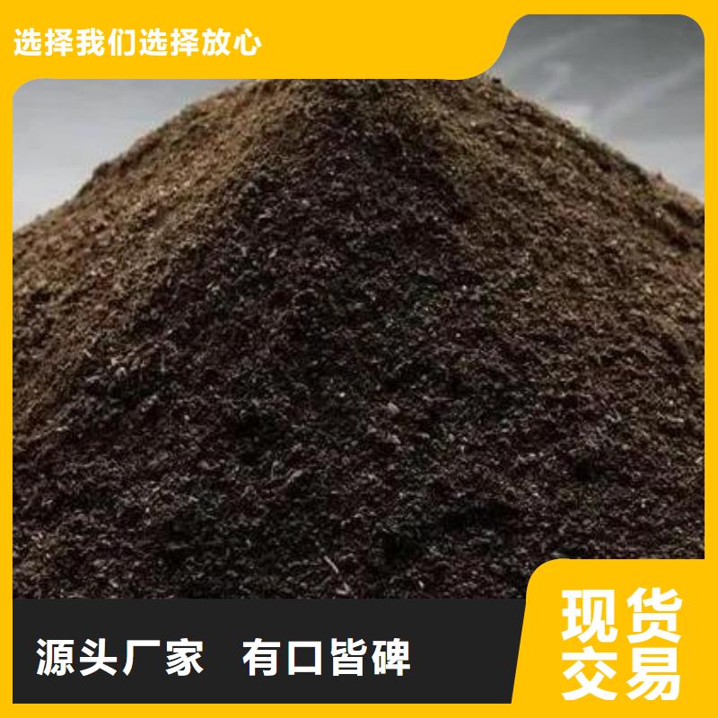 稻壳鸡粪大姜施肥