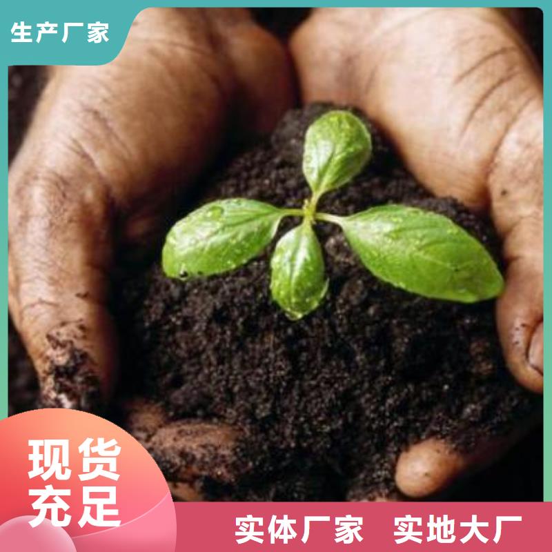干鸡粪培肥地力