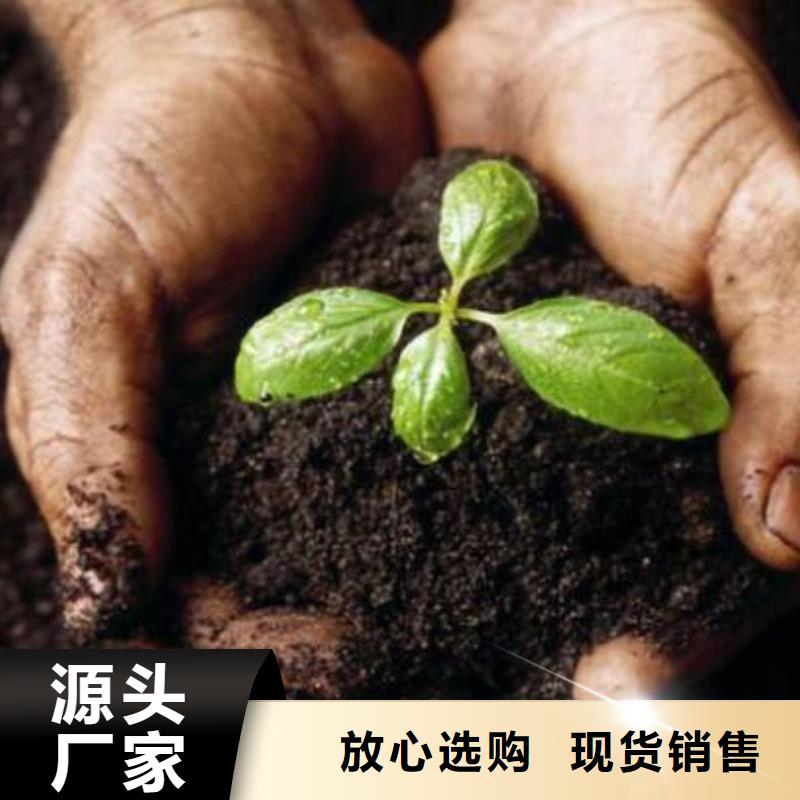 发酵鸡粪怎么施肥