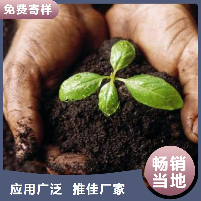 有机肥地址在哪