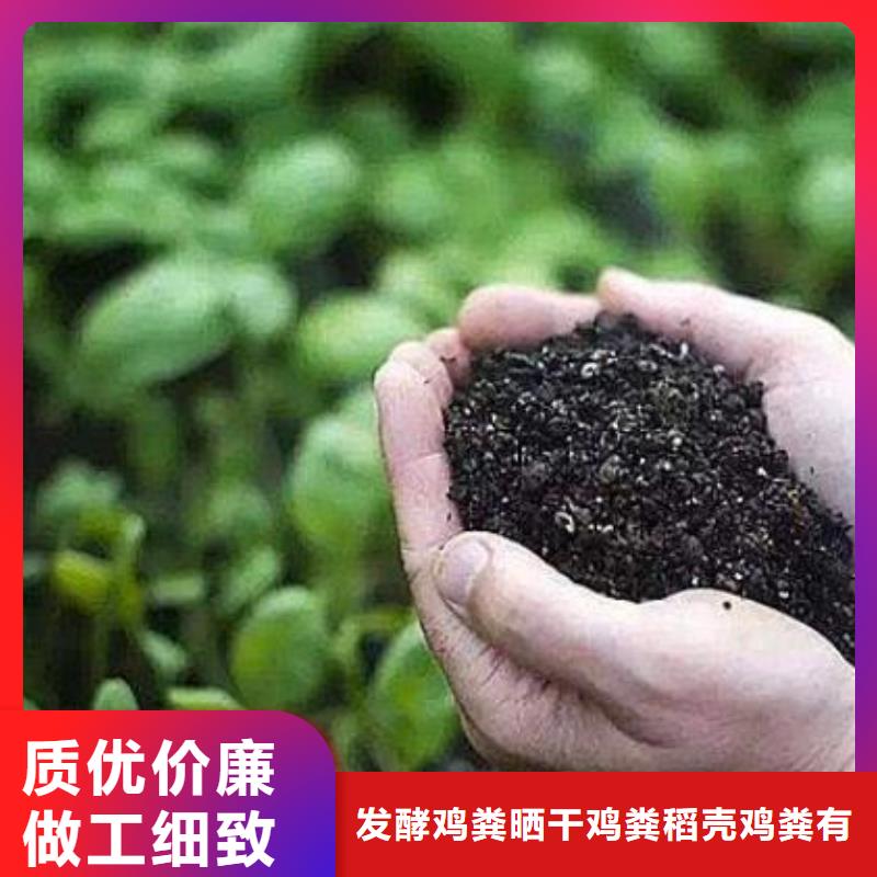 肥水鸡粪新用途