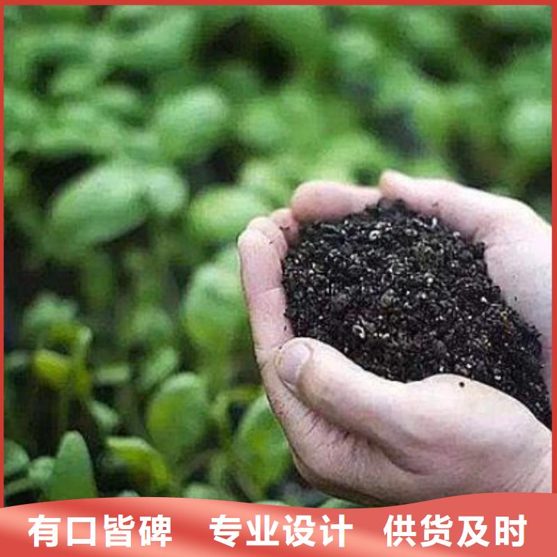 颗粒菌肥价格合适