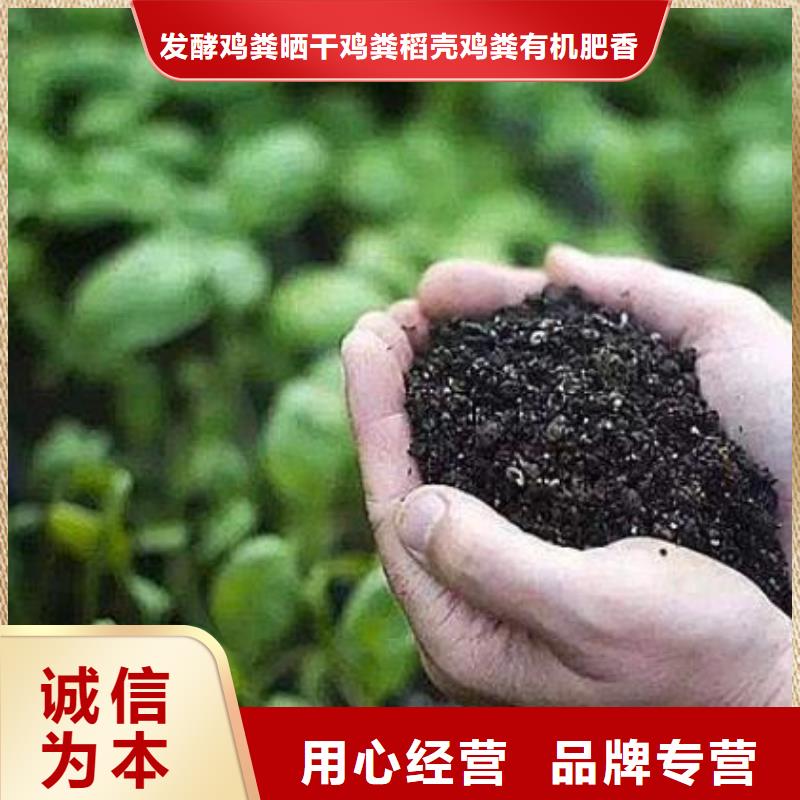 颗粒菌肥好吗